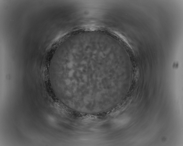 X0000100311446200806121029
