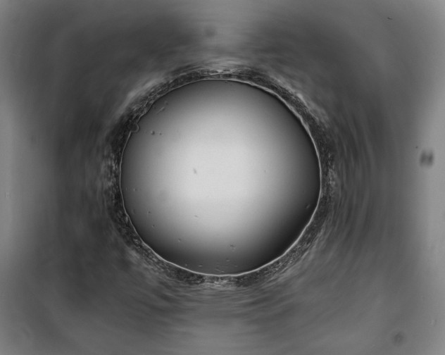 X0000100311447200806121029