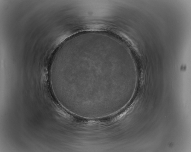 X0000100311449200806121029