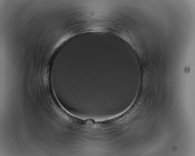 X0000100311450200806121029