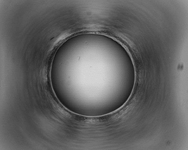 X0000100311451200806121029