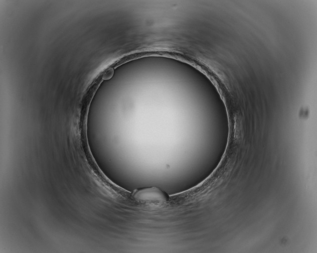 X0000100311452200806121029