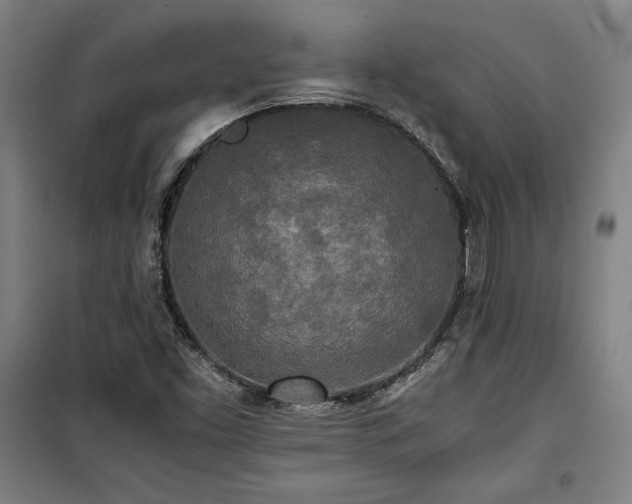 X0000100311453200806121029