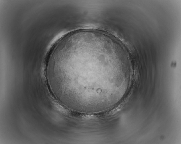 X0000100311454200806121029