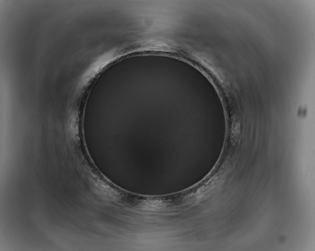 X0000100311455200806121029