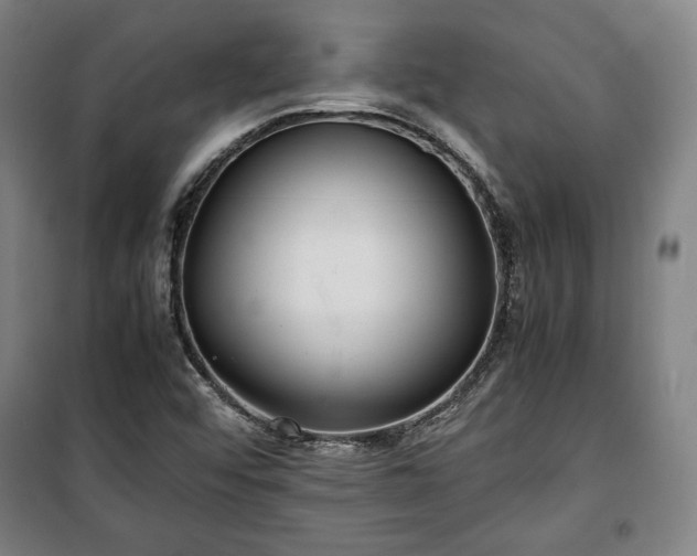 X0000100311456200806121029
