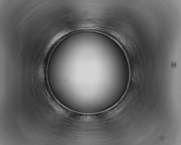 X0000100311458200806121029