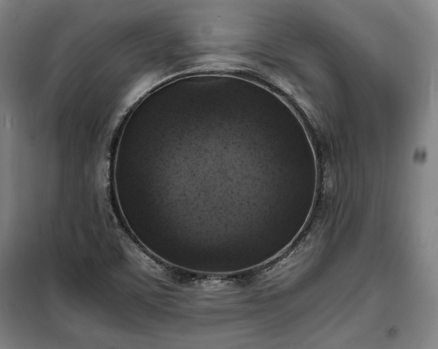 X0000100311459200806121029