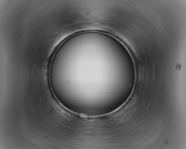 X0000100311460200806121029