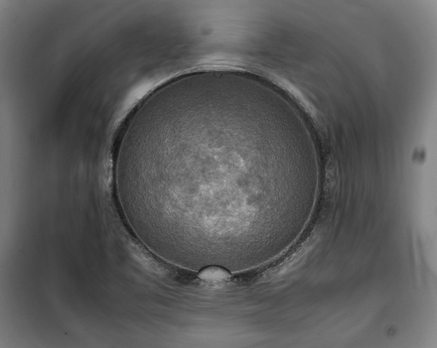 X0000100311461200806121029