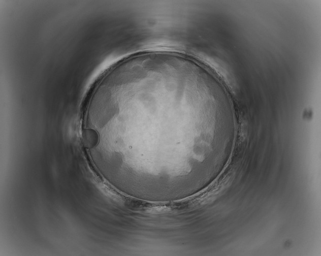 X0000100311462200806121029