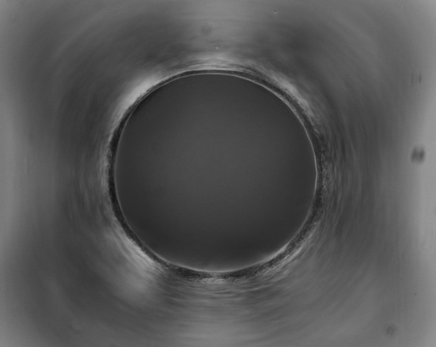 X0000100311463200806121029