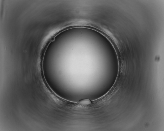 X0000100311464200806121029