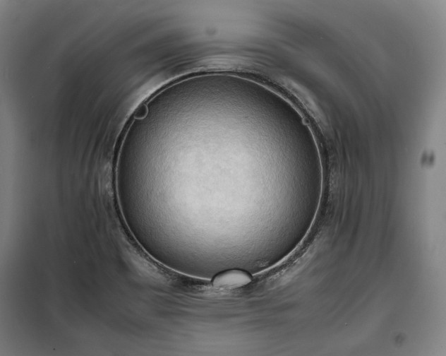X0000100311465200806121029