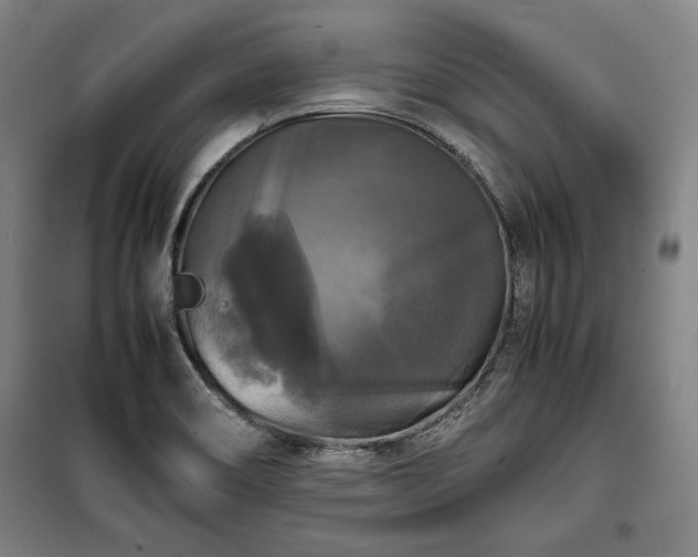 X0000100311466200806121029