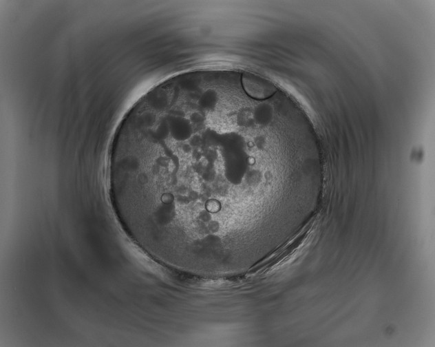 X0000100311467200806121029