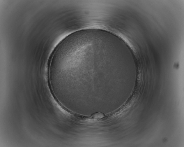 X0000100311468200806121029