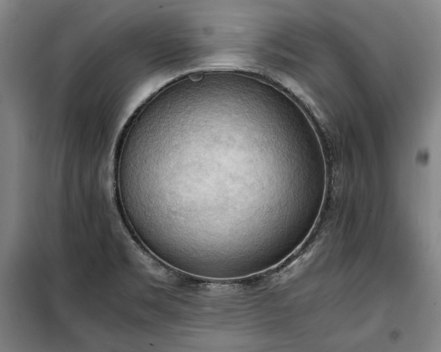 X0000100311469200806121029