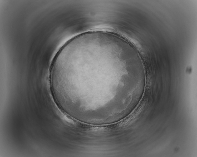 X0000100311470200806121029