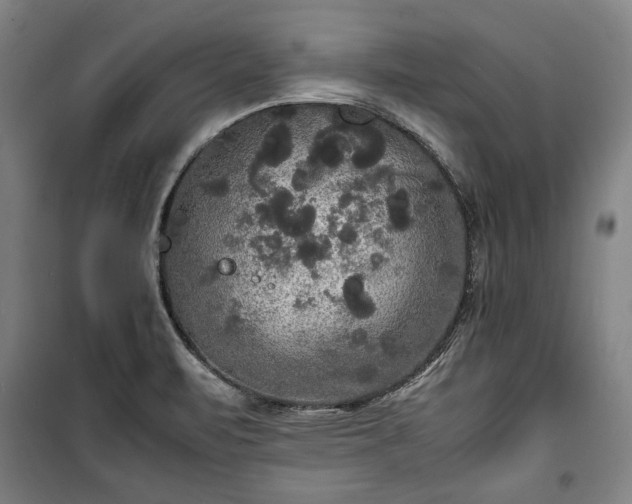 X0000100311471200806121029