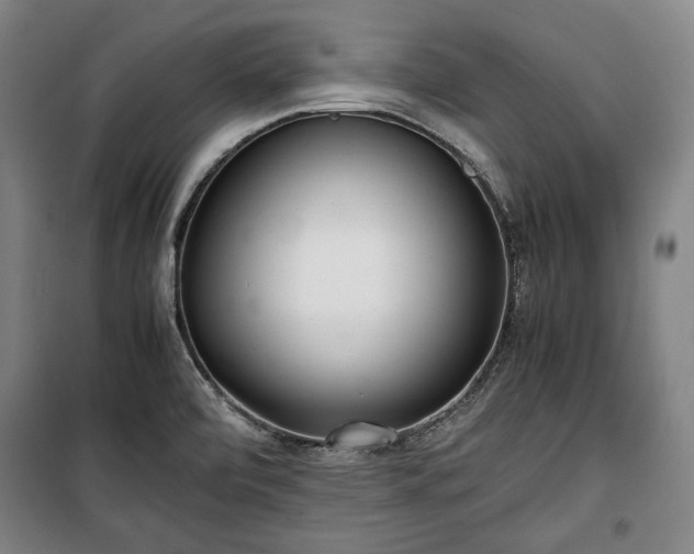 X0000100311472200806121029