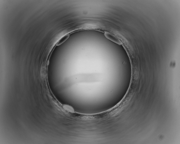 X0000100311473200806121029
