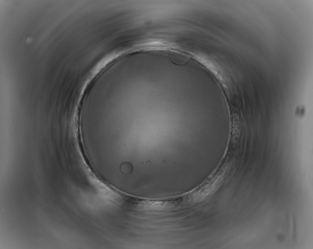 X0000100311474200806121029