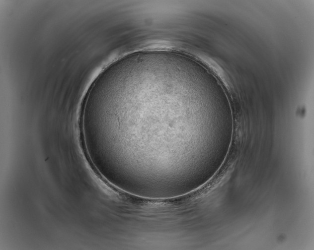 X0000100311475200806121029