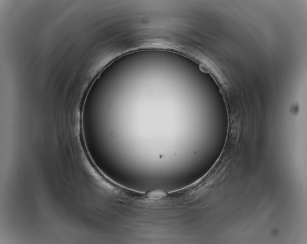 X0000100311476200806121029