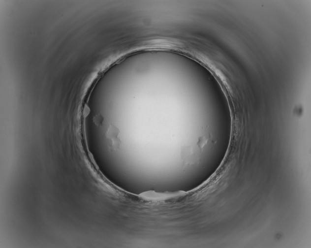 X0000100311477200806121029