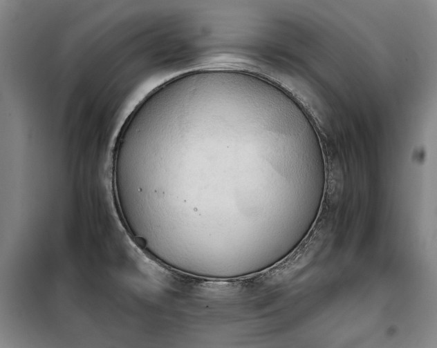 X0000100311478200806121029