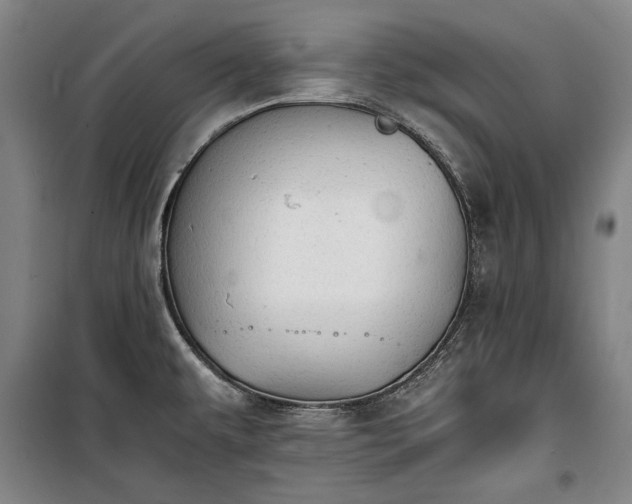 X0000100311479200806121029