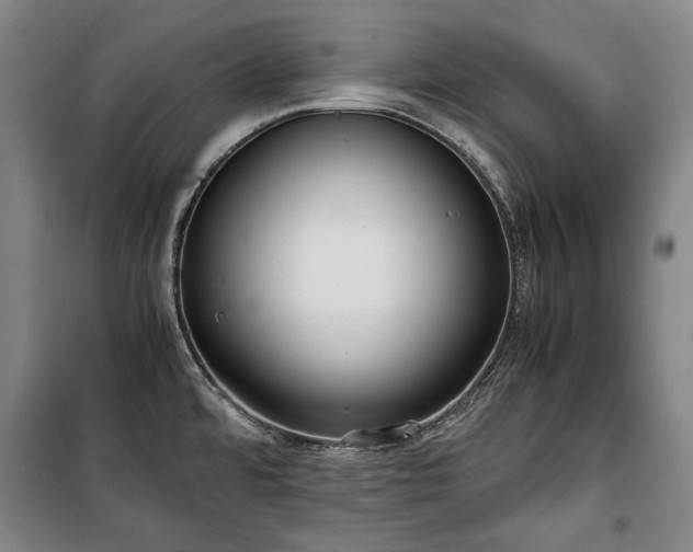 X0000100311480200806121029