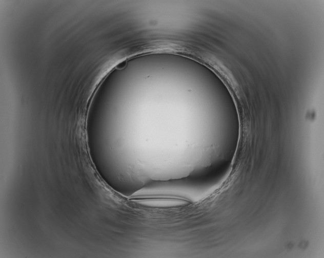 X0000100311481200806121029