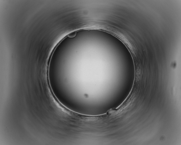 X0000100311484200806121029