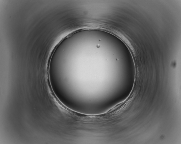 X0000100311485200806121029