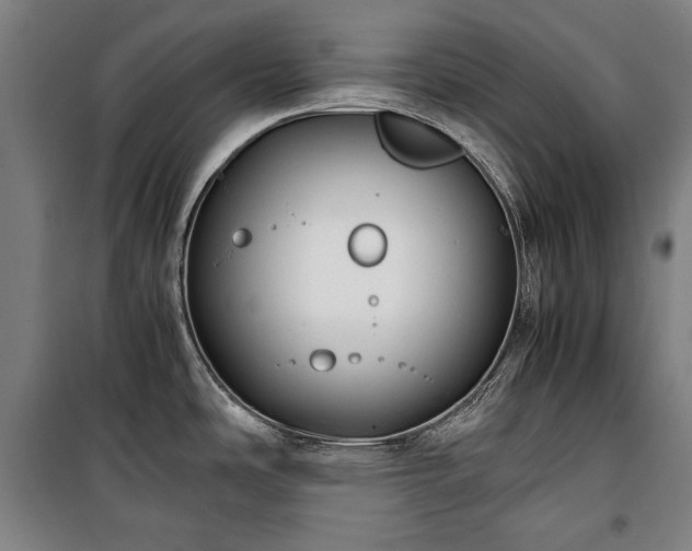 X0000100311486200806121029