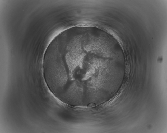 X0000100311487200806121029