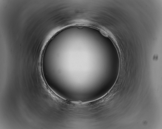 X0000100311488200806121029