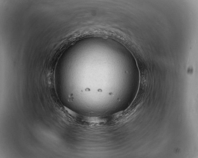 X0000100311490200806121028