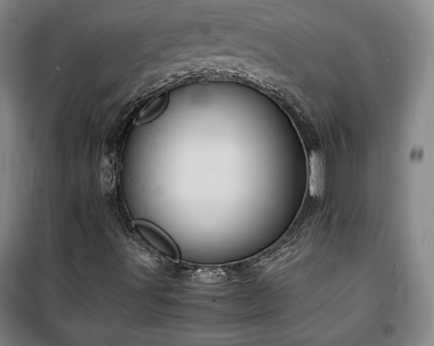 X0000100311491200806121028