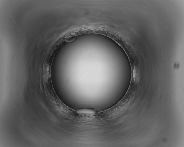 X0000100311492200806121028