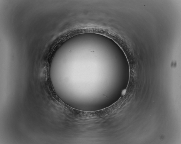 X0000100311493200806121028