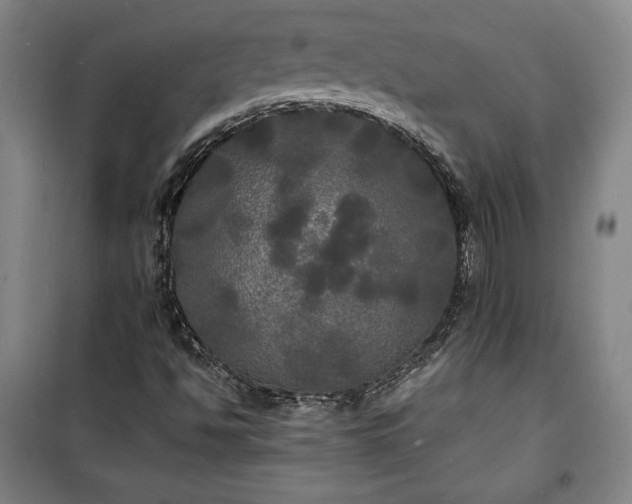 X0000100311494200806121028