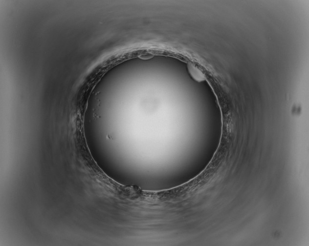 X0000100311495200806121028