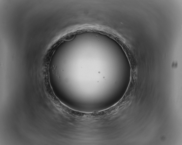 X0000100311496200806121028