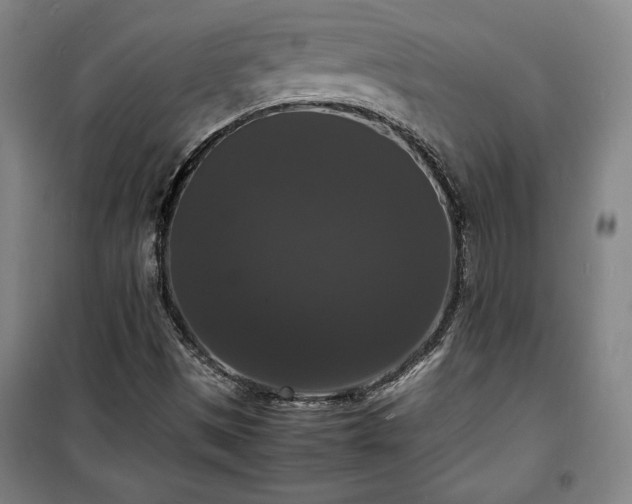 X0000100311497200806121028