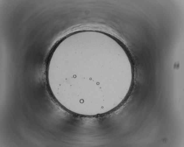 X0000100311498200806121028