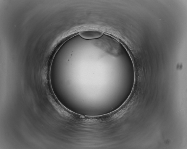 X0000100311499200806121028