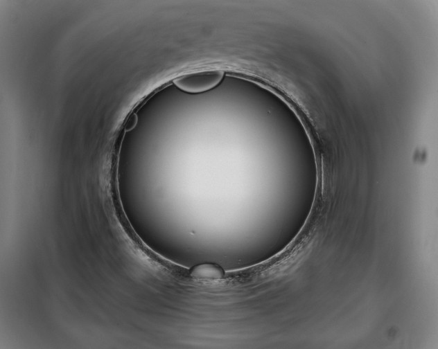 X0000100311500200806121028